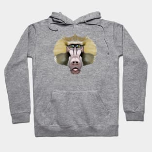 Cute Baboon Drawing Hoodie